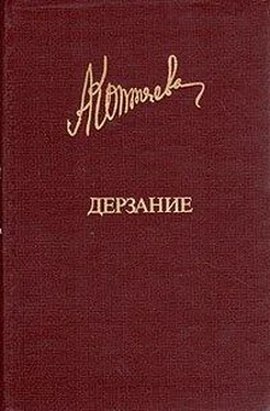 Антонина Коптяева Дерзание обложка книги