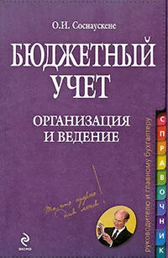 Ольга Соснаускене Бюджетный учет. Организация и ведение обложка книги