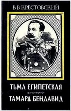 Всеволод Крестовский Тьма Египетская обложка книги