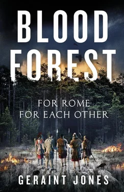 Geraint Jones Blood Forest обложка книги