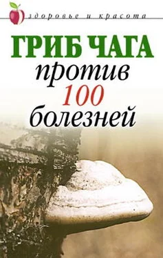 Евгения Сбитнева Гриб чага против 100 болезней обложка книги