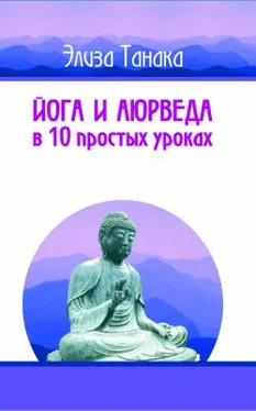 Элиза Танака Йога и аюрведа в 10 простых уроках обложка книги