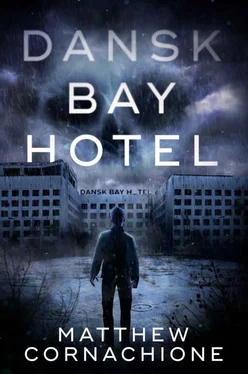 Matthew Cornachione Dansk Bay Hotel обложка книги