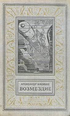 Александр Насибов Возмездие обложка книги