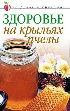 Наталья Сухинина Здоровье на крыльях пчелы обложка книги