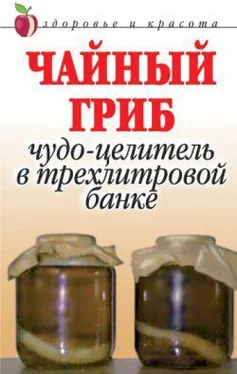 Анна Щеглова Чайный гриб. Чудо-целитель в трехлитровой банке обложка книги