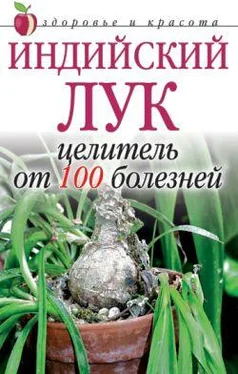 Анна Щеглова Индийский лук - целитель от 100 болезней обложка книги