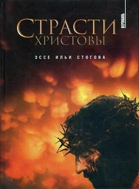 Илья Стогов Страсти Христовы обложка книги