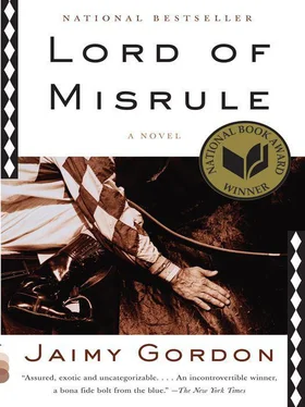 Jaimy Gordon Lord of Misrule обложка книги