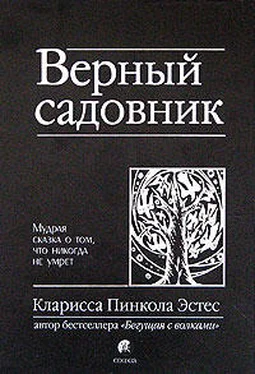 Кларисса Пинкола Эстес Верный садовник. Мудрая сказка о том, что никогда не умрет обложка книги