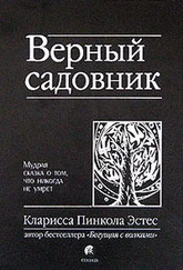 Кларисса Пинкола Эстес - Верный садовник. Мудрая сказка о том, что никогда не умрет