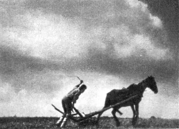 Да здравствует Мексика 1930 - фото 50
