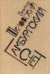 Виктор Шкловский - Гамбургский счет - Статьи – воспоминания – эссе (1914–1933)