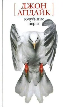 Джон Апдайк Голубиные перья обложка книги