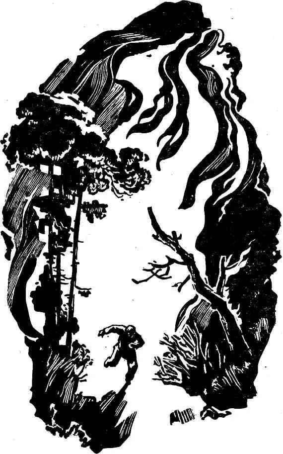 Еще не видя огня я чувствовал что он шел по деревьям все сильнее и сильнее - фото 7