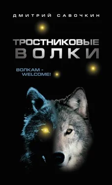 Дмитрий Савочкин Тростниковые волки обложка книги