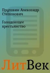 Александр Пругавин - Голодающее крестьянство