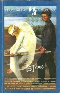 Маргарет Махи Пространство памяти обложка книги