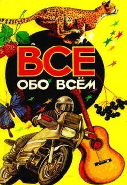 Аркадий Ликум Все обо всем. Том 3 обложка книги