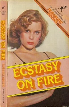 Russell Smith Ecstasy on fire обложка книги