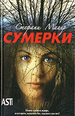 Стефани Майер Сумерки обложка книги