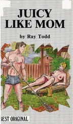 Ray Todd - Juicy like mom