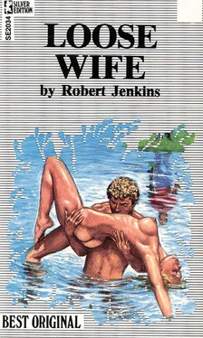 Robert Jenkins Loose wife обложка книги