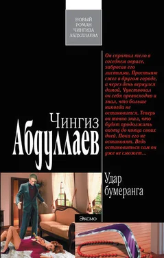Чингиз Абдуллаев Удар бумеранга обложка книги