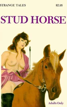 Unknown Stud horse обложка книги