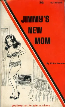 Erika Norman Jimmy_s new mom обложка книги