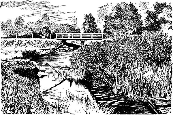 Скромно начинает свое течение величайшая река Европы Волга близ истока Как же - фото 33