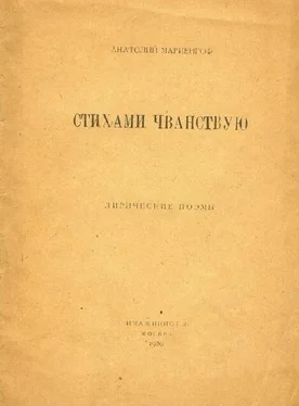 Анатолий Мариенгоф Стихами чванствую обложка книги