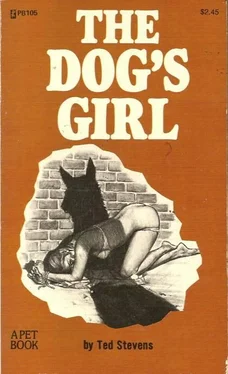 Ted Stevens The dog_s girl обложка книги