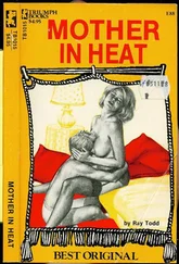 Ray Todd - Mother in heat
