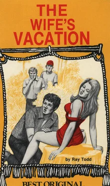 Ray Todd The wife_ vacation обложка книги