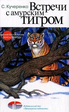 Сергей Кучеренко Встречи с амурским тигром обложка книги