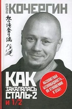 Андрей Кочергин Как закалялась сталь 2 и 1/2 обложка книги