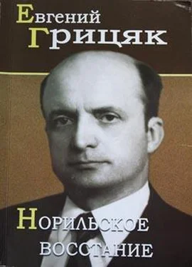 Евгений Грицяк Норильское восстание обложка книги