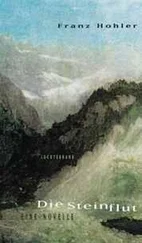 Franz Hohler - Die Steinflut