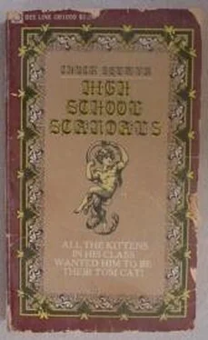 Unknown High School Scandals обложка книги