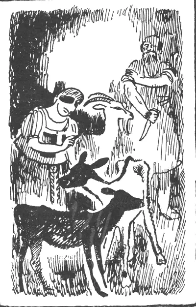 Иллюстрации Н Купреянова 1931 г От мечтательности Добужинского перед - фото 26