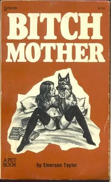 Emerson Taylor Bitch mother обложка книги