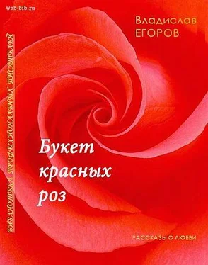 Владислав Егоров Букет красных роз обложка книги