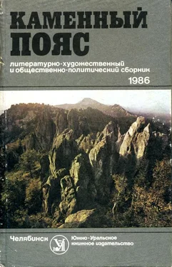 Константин Скворцов Каменный Пояс, 1986 обложка книги