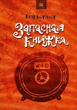 Пётр Бормор Запасная книжка обложка книги