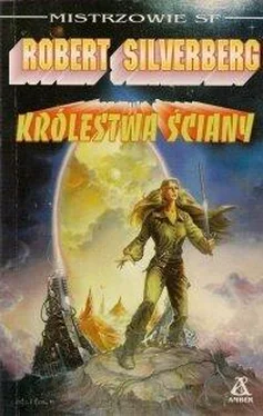 Robert Silverberg Królestwa ściany обложка книги