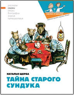 Наталья Щерба Тайна старого сундука обложка книги