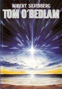 Robert Silverberg Tom O'Bedlam обложка книги