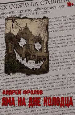 Андрей Фролов Яма на дне колодца обложка книги