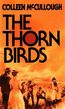 Colleen McCullough The Thorn Birds обложка книги